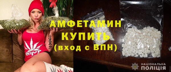 твердый Долгопрудный